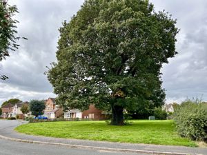 View to the front- click for photo gallery